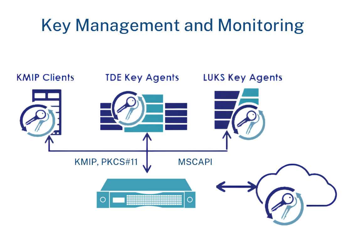 Best Data encryption HSM module by top hsm vendor